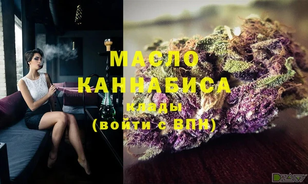стаф Аркадак