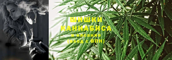 стаф Аркадак
