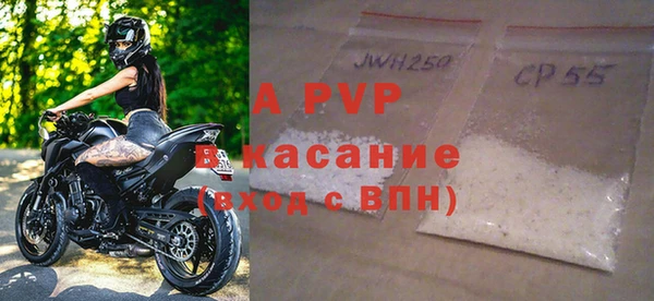 стаф Аркадак